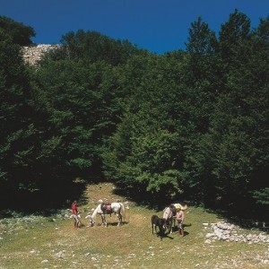 agriturismo sicilia maneggio cavalli