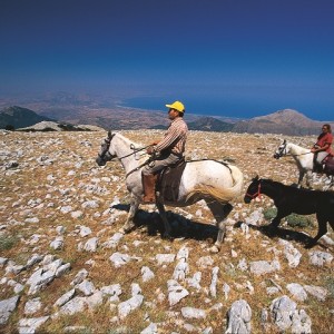 agriturismo sicilia maneggio cavalli