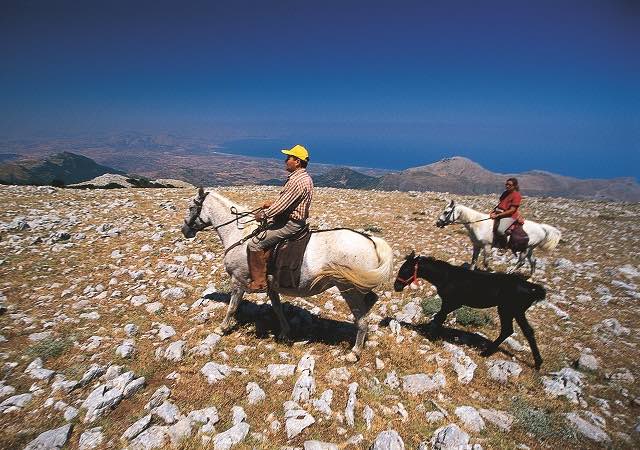 agriturismo sicilia cavalli maneggio